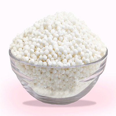 SAGO SEED INDIA